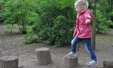 avifauna in de regen