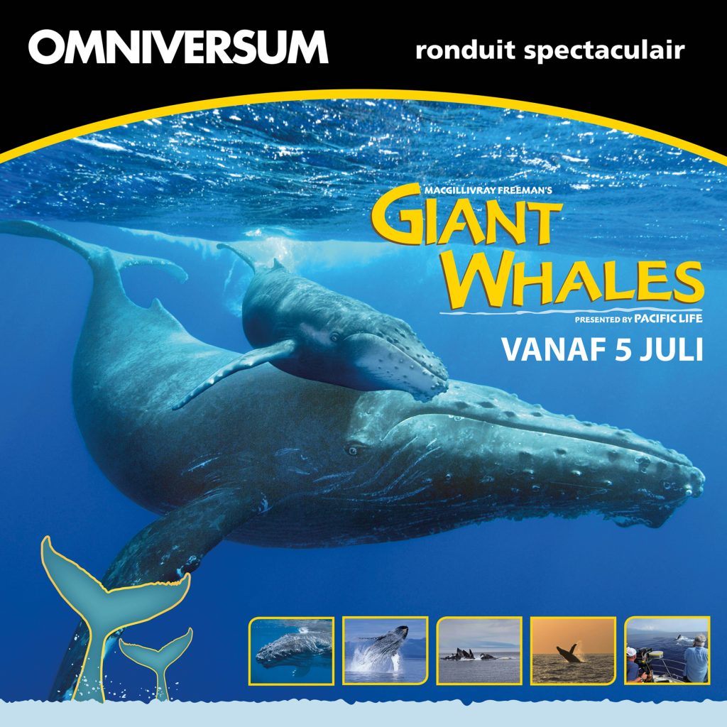 omniversum_giantwhales