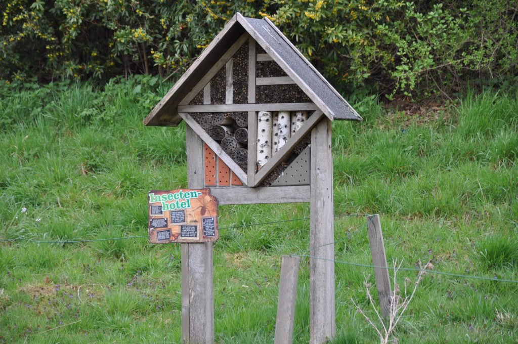 insecthotel
