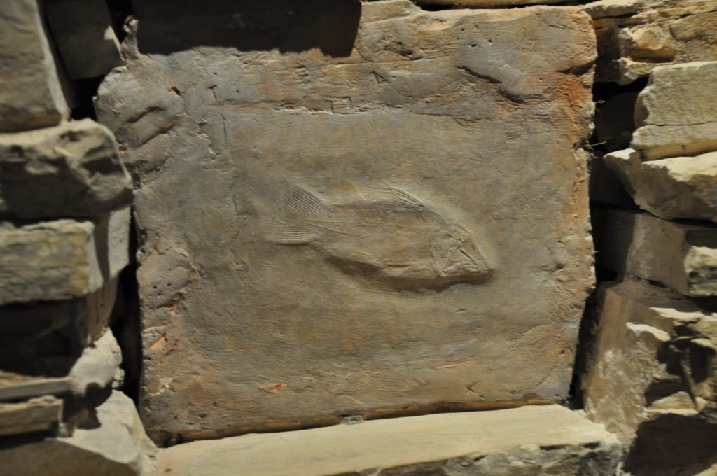 montblanc fossiel