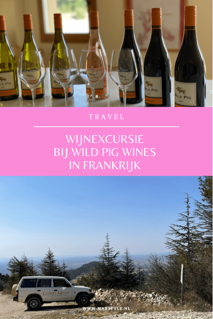 wild pig wines