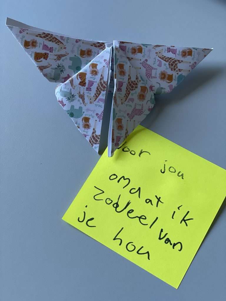 vlinger origami