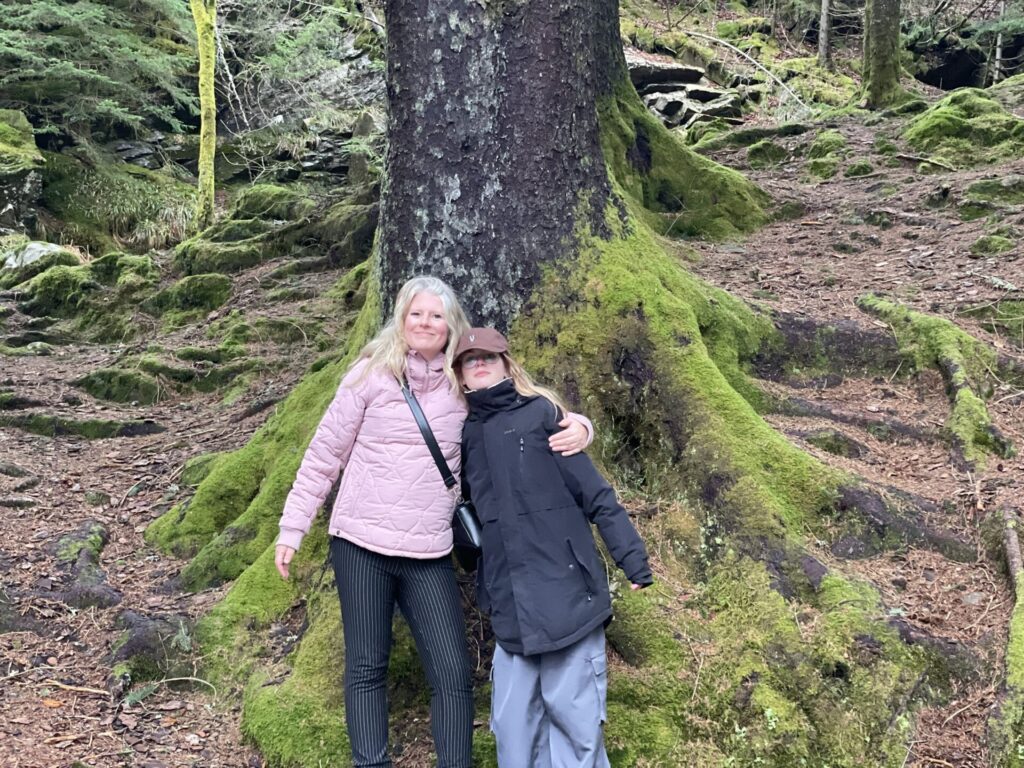 mount floyen bergen noorwegen